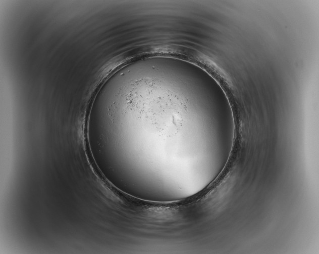 X0000096221033200801181446