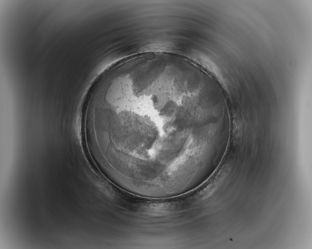 X0000096221035200801181446
