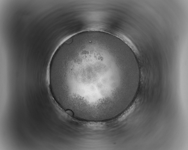 X0000096221036200801181446