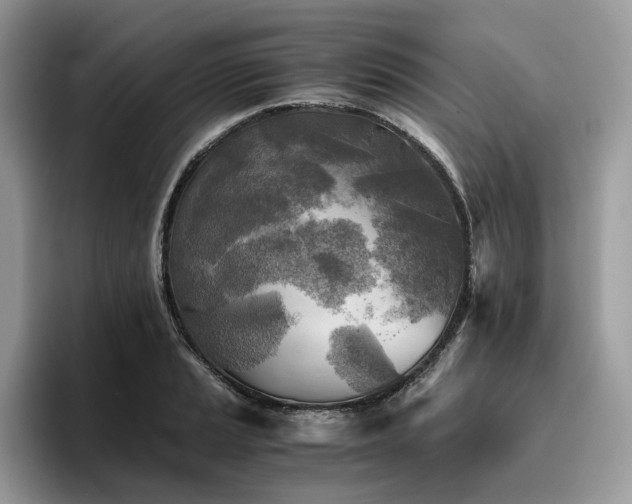 X0000096221037200801181446