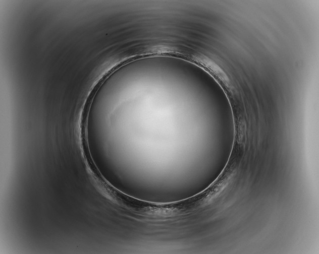 X0000096221039200801181446