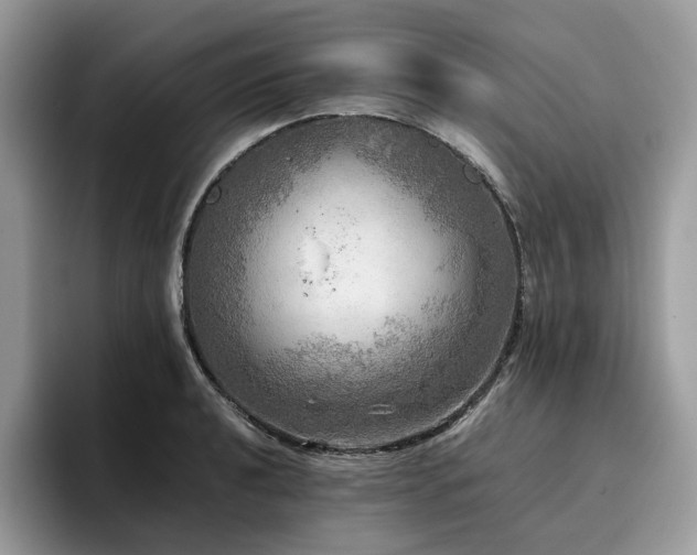 X0000096221040200801181446