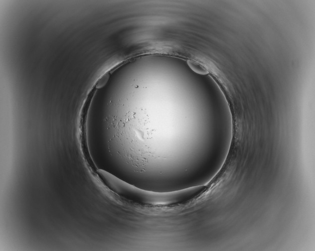 X0000096221042200801181446