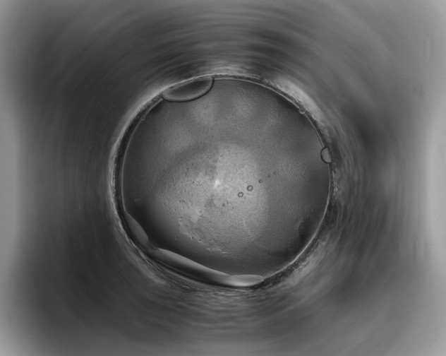 X0000096221043200801181446