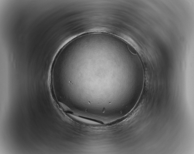 X0000096221044200801181446