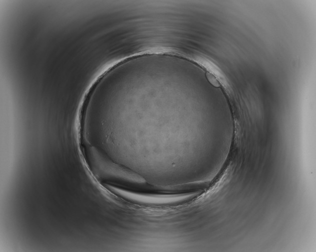 X0000096221046200801181447