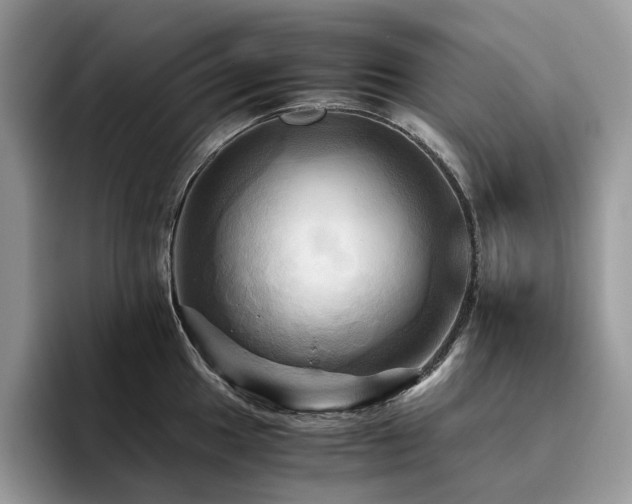 X0000096221049200801181447