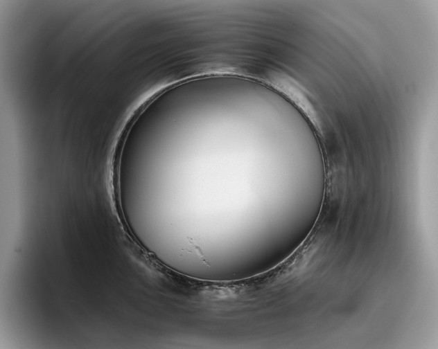X0000096221051200801181447