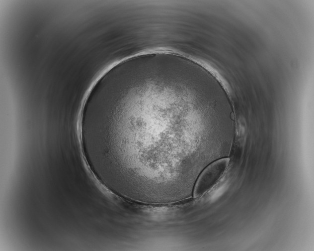 X0000096221054200801181447