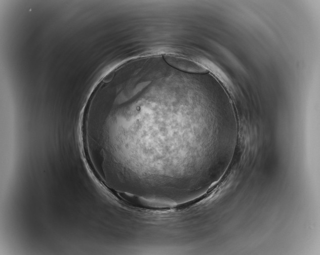 X0000096221055200801181447