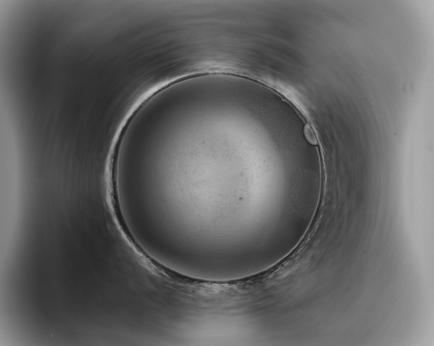 X0000096221056200801181447