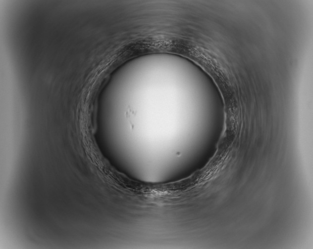 X0000096221057200801181446