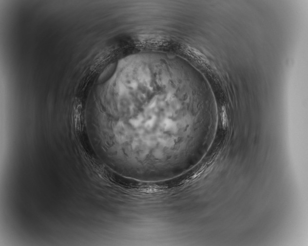 X0000096221059200801181446