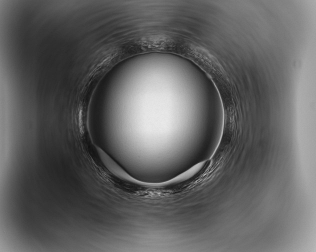 X0000096221060200801181446
