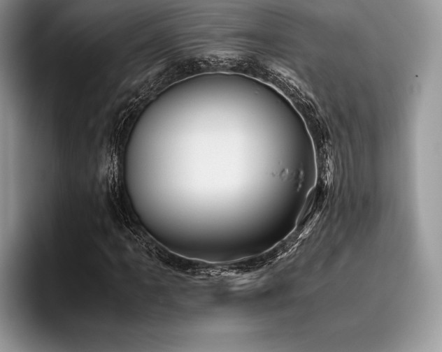 X0000096221061200801181446