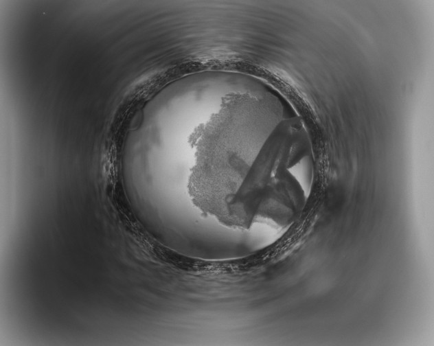X0000096221063200801181446