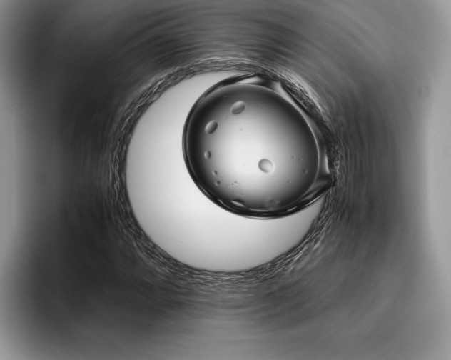 X0000096221064200801181446