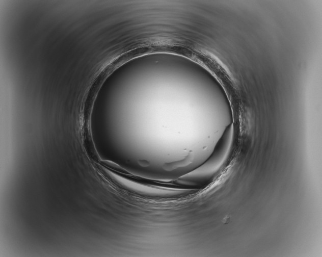 X0000096221065200801181446