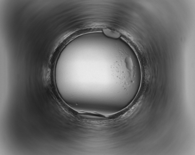 X0000096221066200801181446