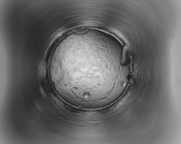 X0000096221067200801181446