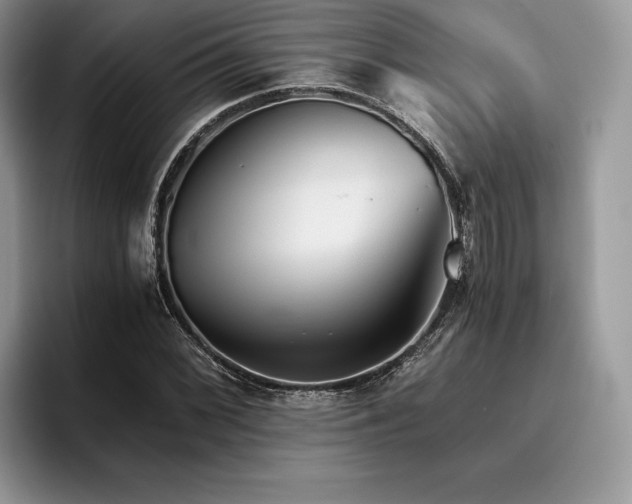 X0000096221068200801181446