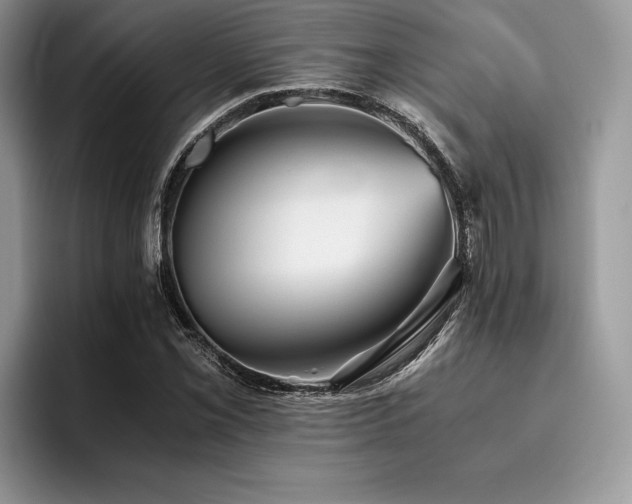 X0000096221069200801181446