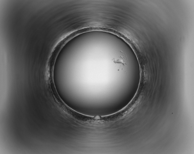 X0000096221070200801181446