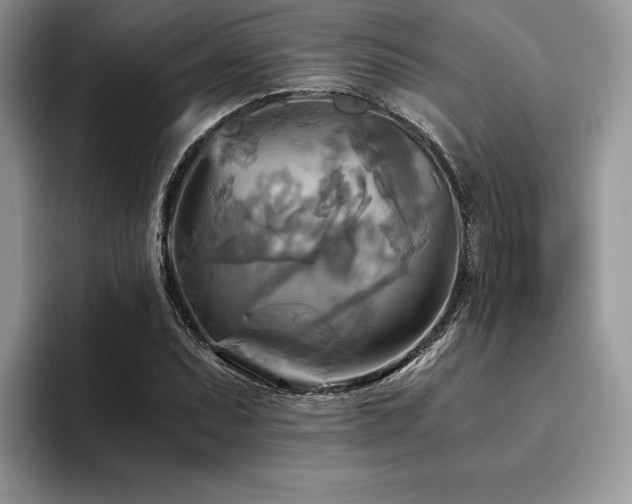 X0000096221071200801181446