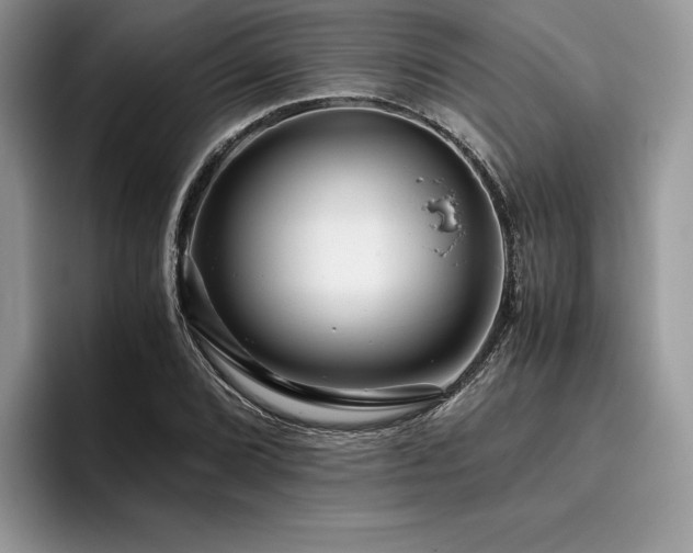 X0000096221072200801181446