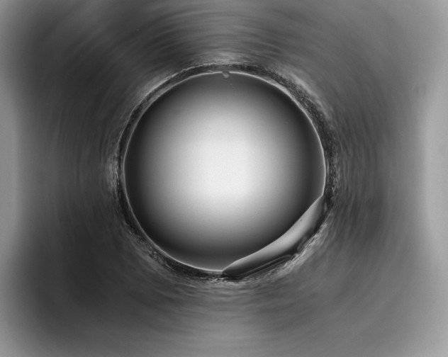 X0000096221073200801181446