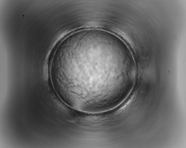 X0000096221075200801181446