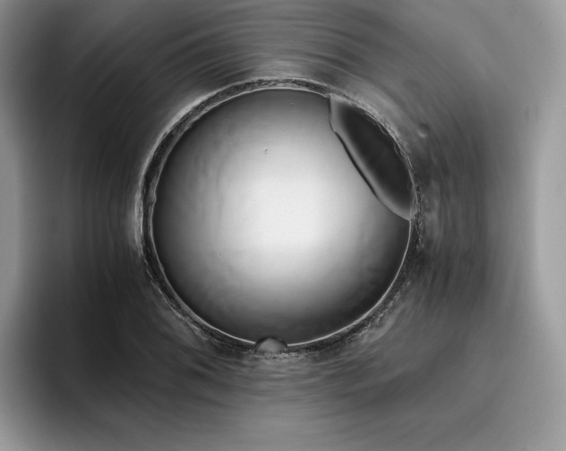 X0000096221076200801181446