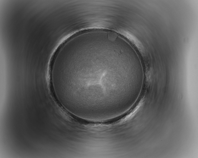 X0000096221077200801181446