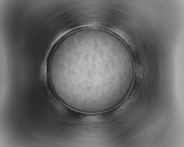 X0000096221078200801181446
