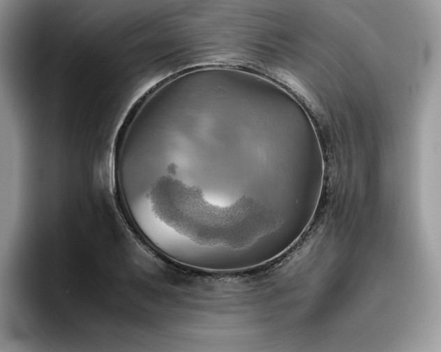 X0000096221079200801181446