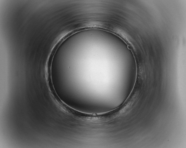 X0000096221082200801181446