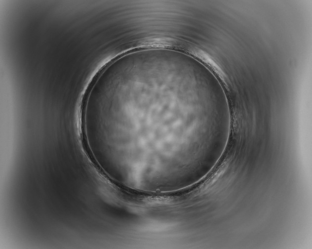X0000096221083200801181446