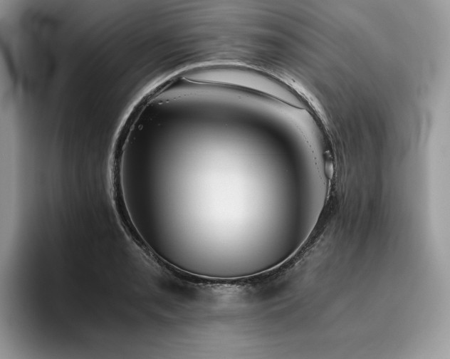 X0000096221085200801181446