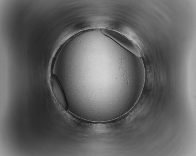 X0000096221088200801181446