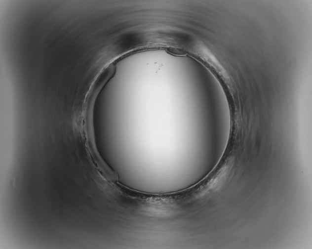 X0000096221089200801181446