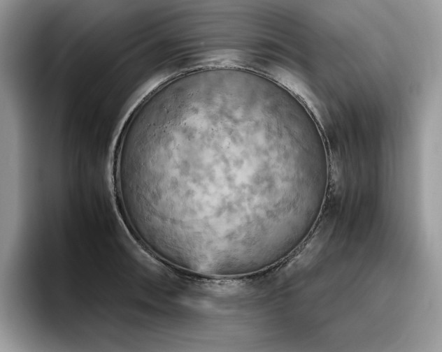 X0000096221090200801181446
