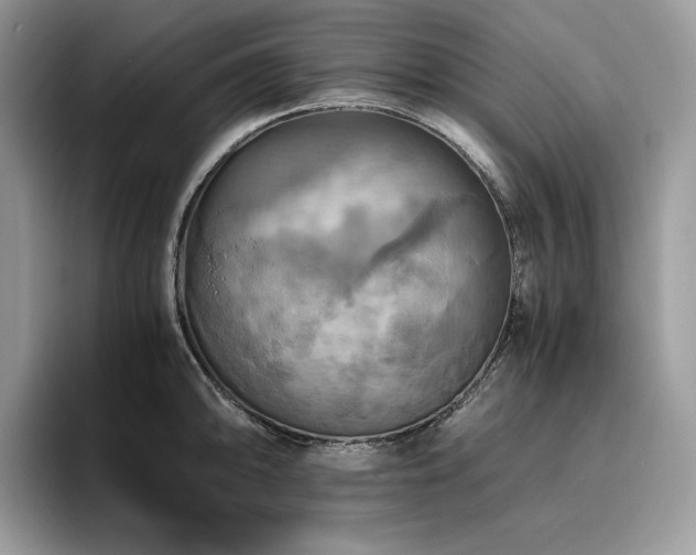 X0000096221094200801181446