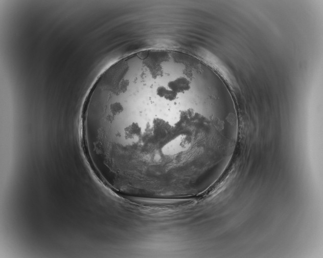 X0000096221095200801181446