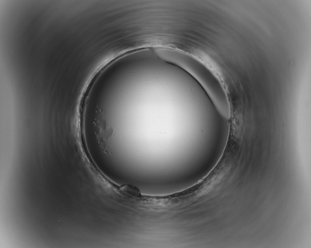 X0000096221096200801181445