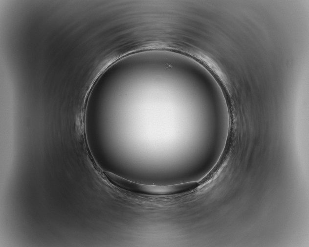 X0000096221097200801181445