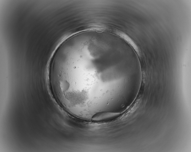 X0000096221099200801181445