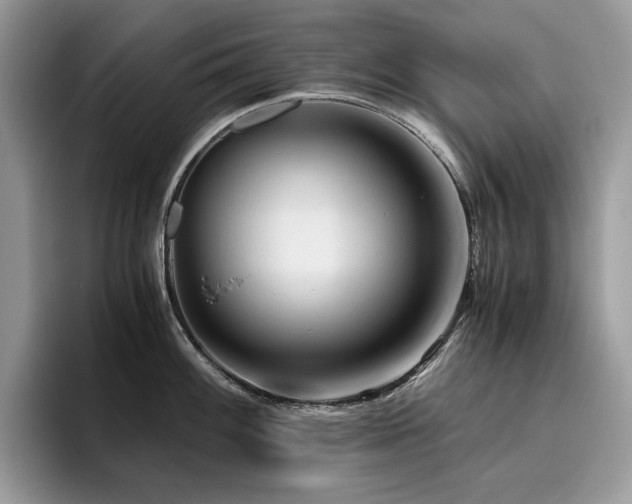 X0000096221100200801181445