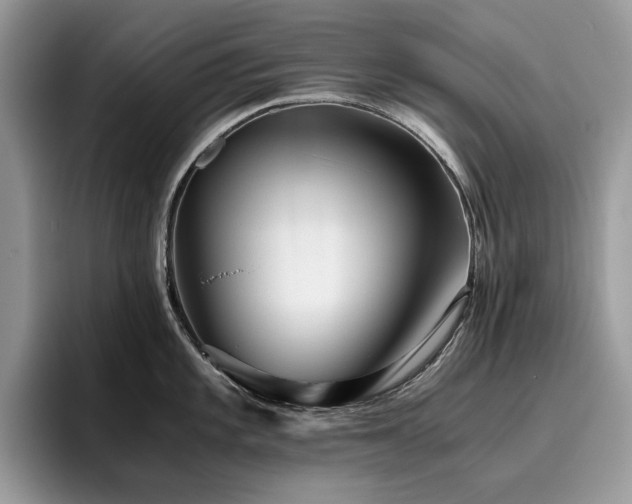 X0000096221101200801181445