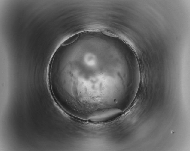 X0000096221103200801181445