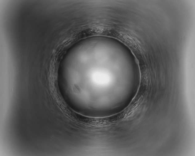 X0000096221105200801181445